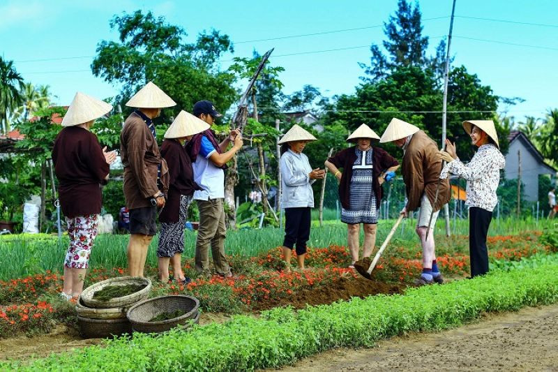 Trà Quế