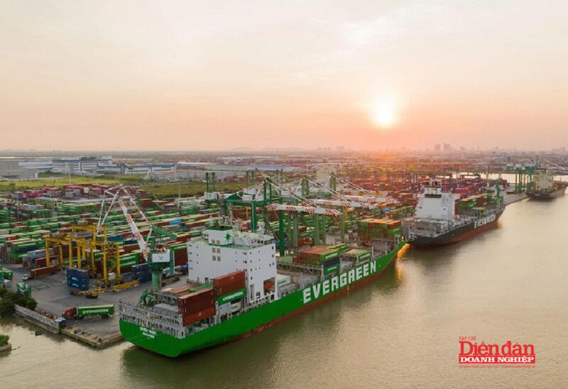 11 (1)