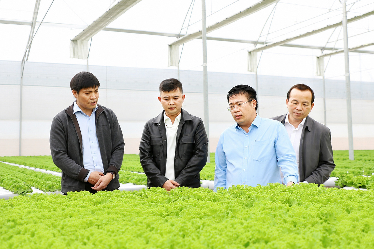 PPhó Chủ tịch UBND tỉnh Nguyễn Ngọc Phúc thăm mô hình sản xuất nông nghiệp công nghệ cao tại xã Đơn Dương