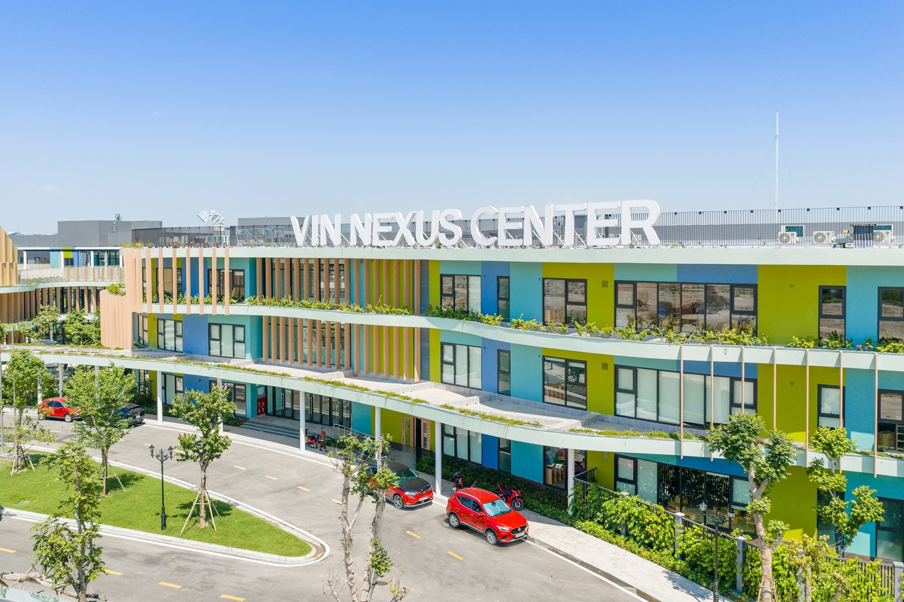 Ảnh 6