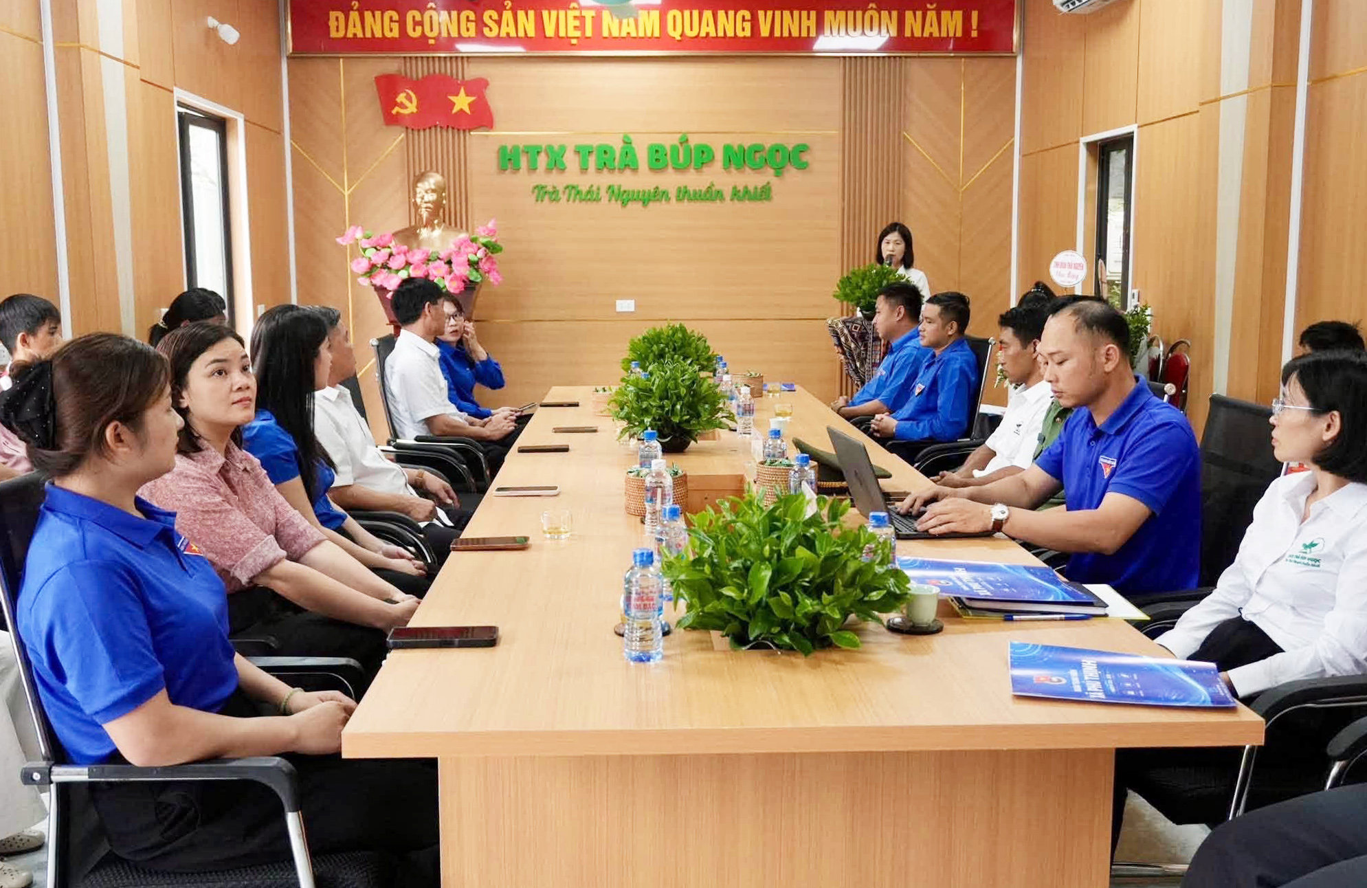 htx trà búp ngọc