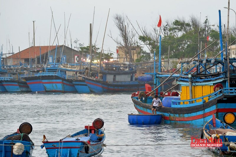 luat-tai-nguyen-moi-truong-bien-29.9.2.jpg