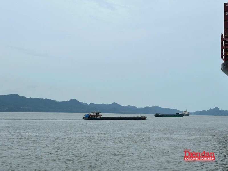 thuy-noi-dia-hp.jpg