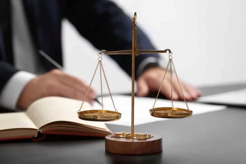 dau-thau.webp
