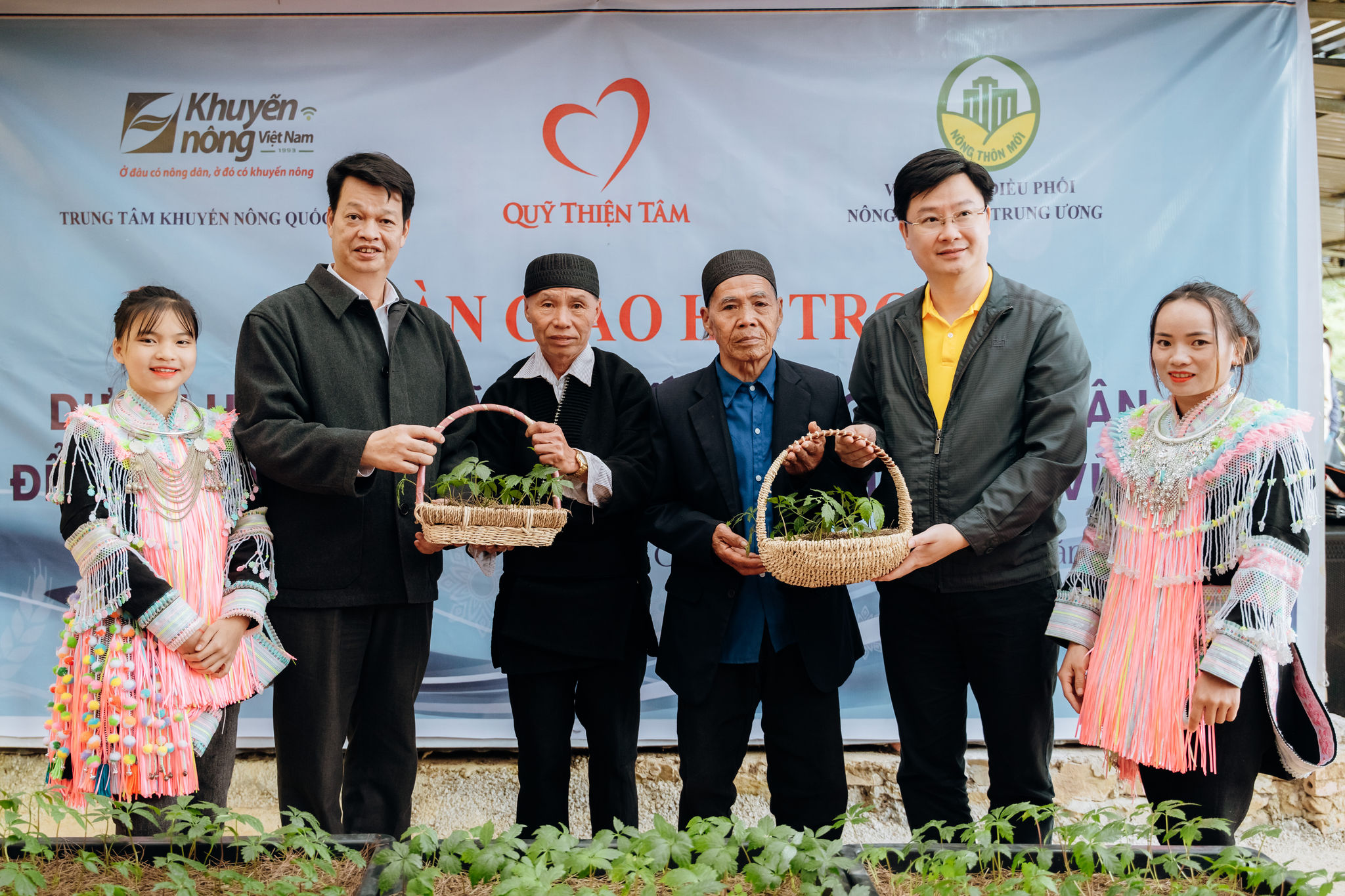 Giám đốc Quỹ Thiện Tâm tặng cây sâm giống cho các hộ nghèo tại Lai Châu