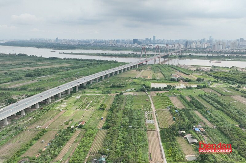 dji_0598.jpg