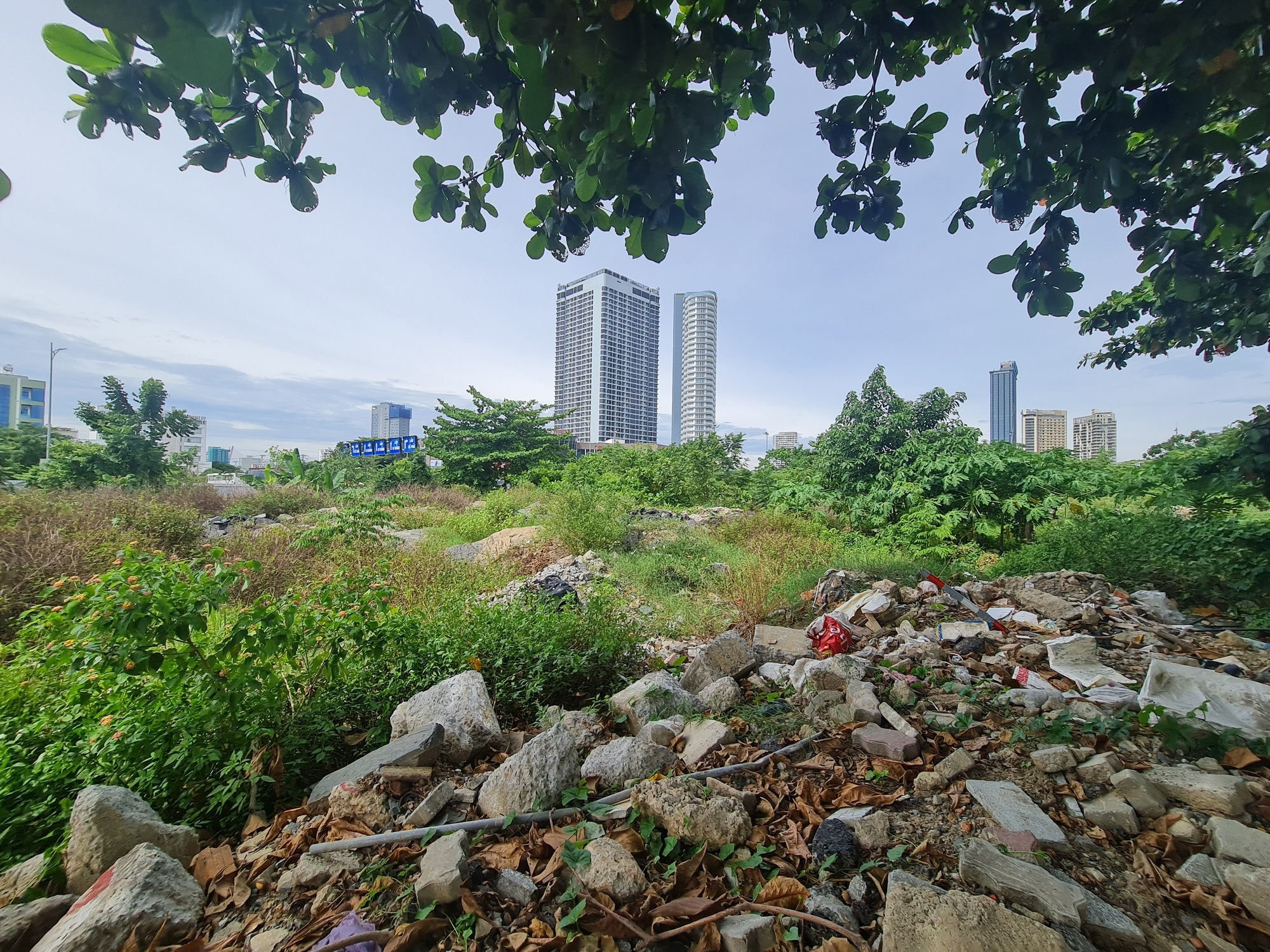 nqs.1cdn.vn-2026-07-30-_4fb9_bo-hoang-2.jpg