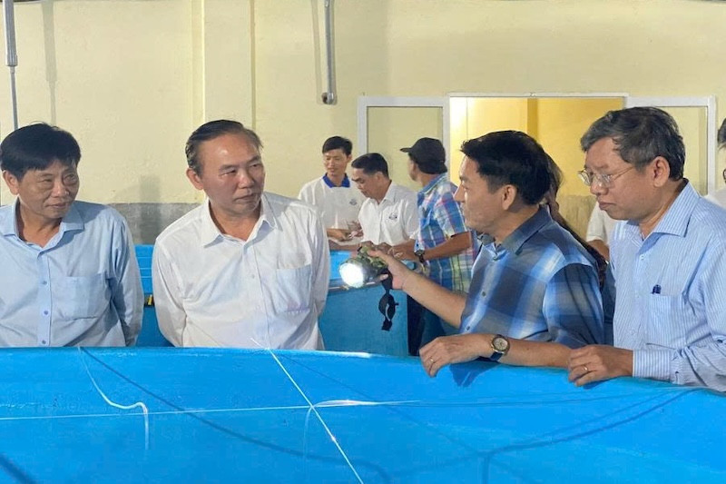 ông hoàng anh