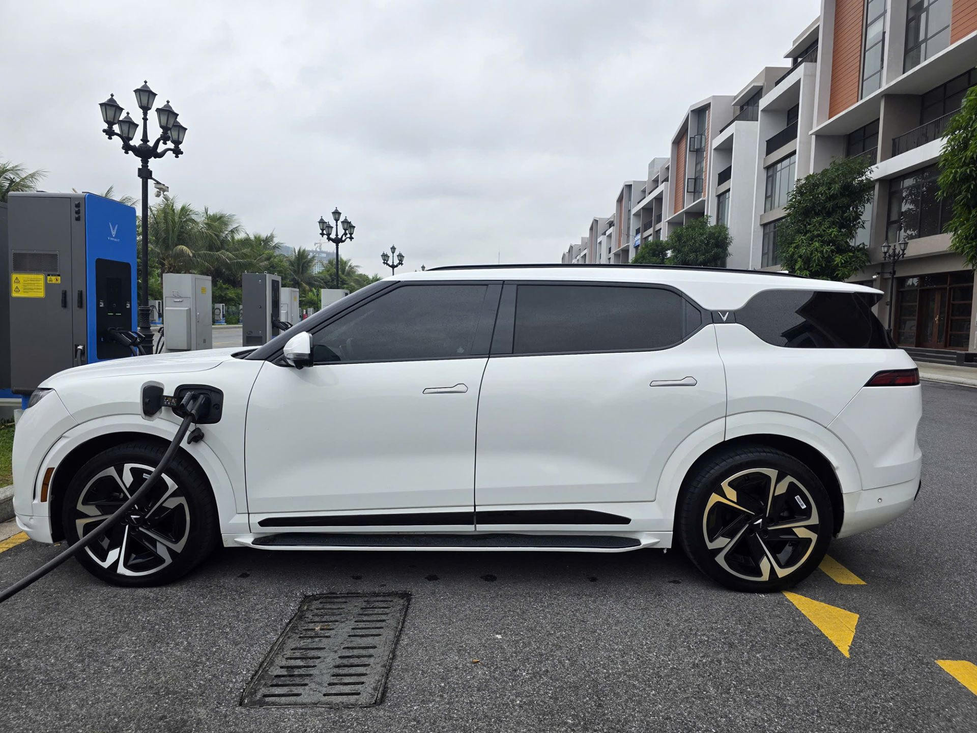 A2 (54)