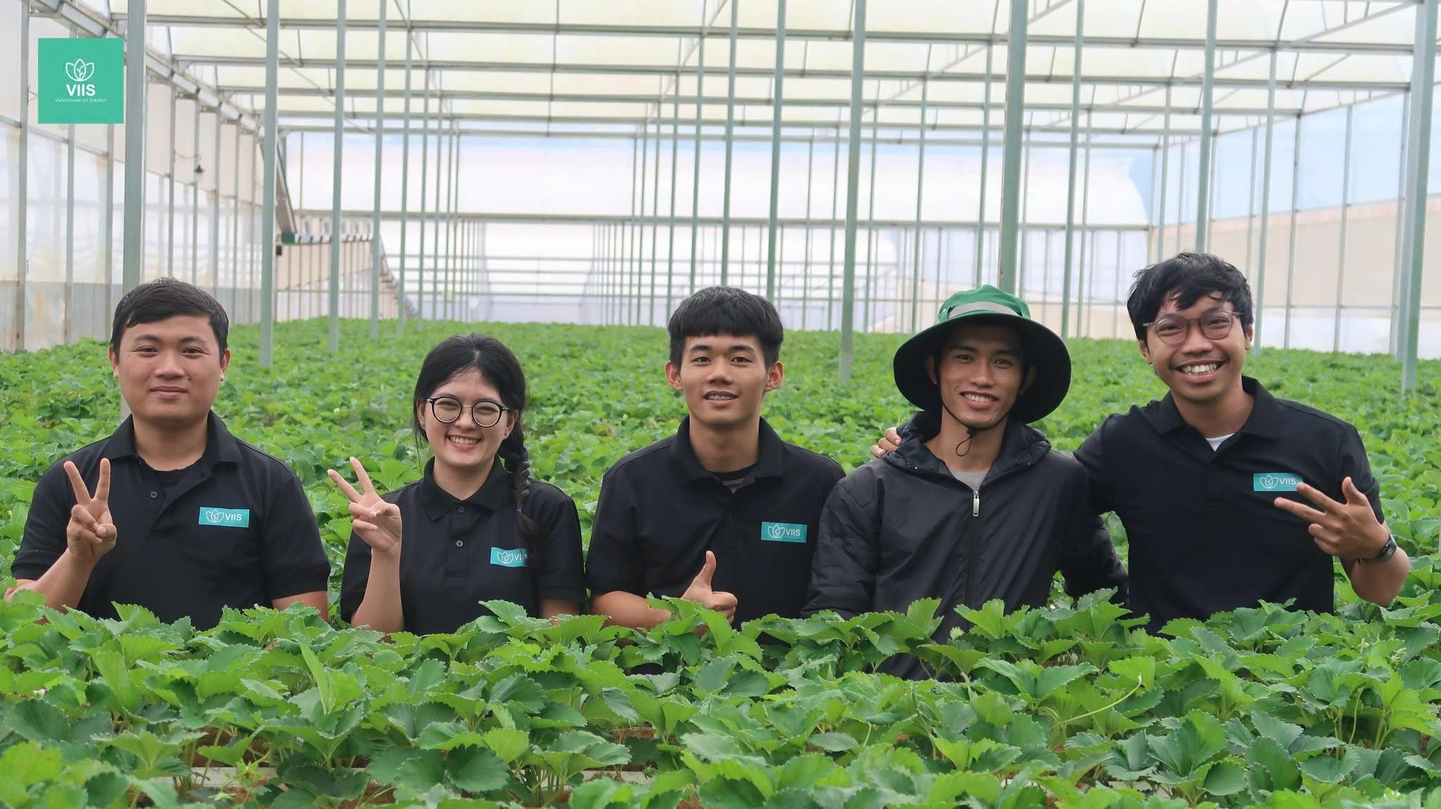VIIS đội ngũ tại Lâm Đồng
