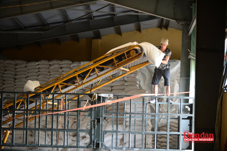 QT2_9512 (1)