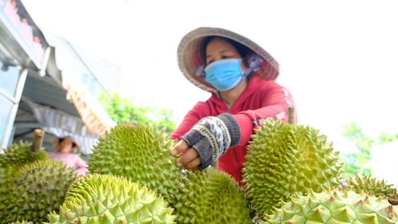 sau-rieng-17-01.jpeg