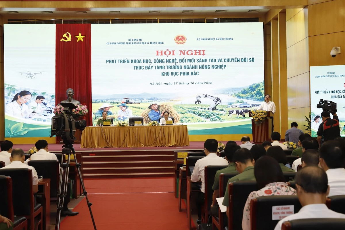 Bản sao nn