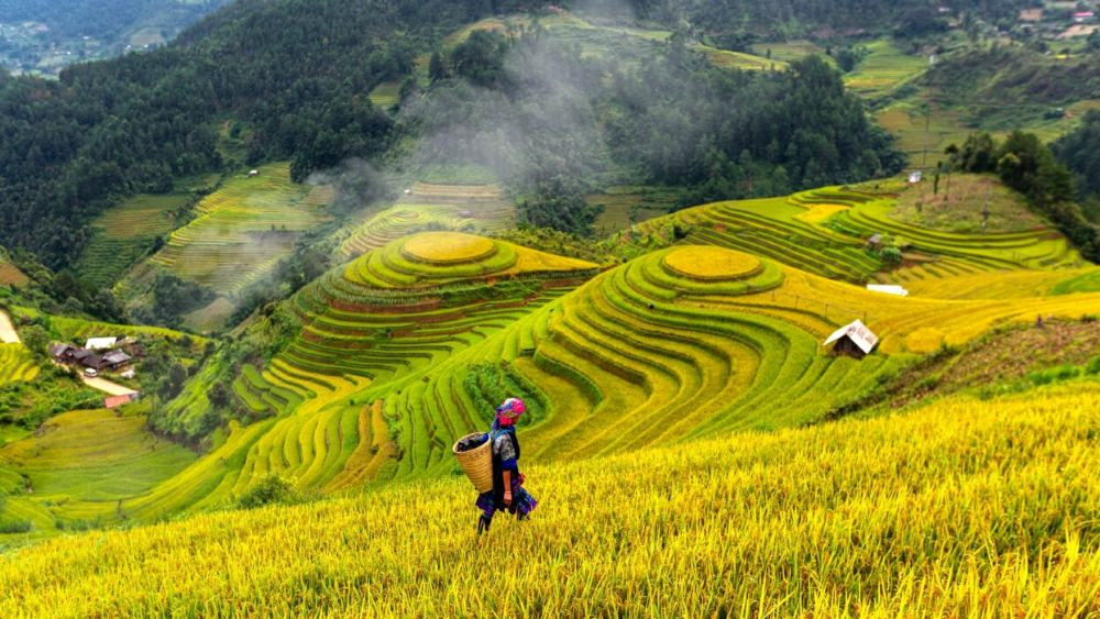 Ảnh minh họa_4