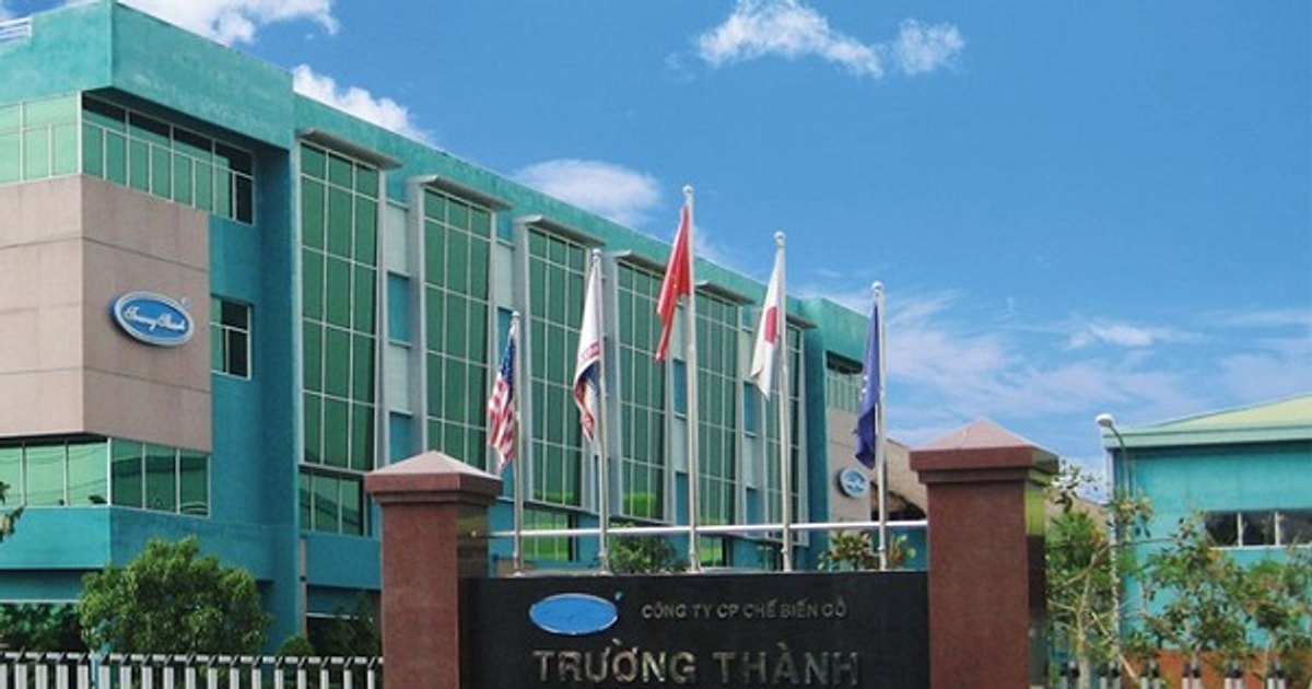 Những đại gia “giải cứu” TTF trong đợt phát hành mới