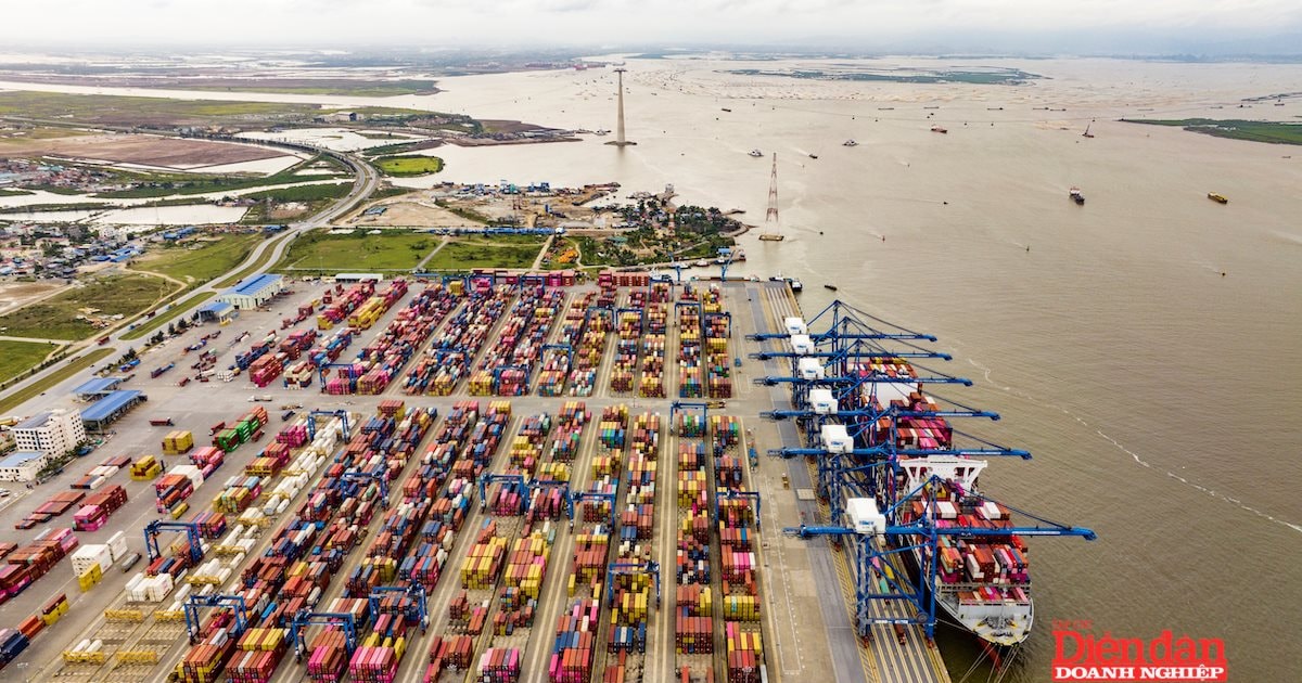 Cảng biển Việt Nam lọt top xử lý hàng container lớn nhất thế giới