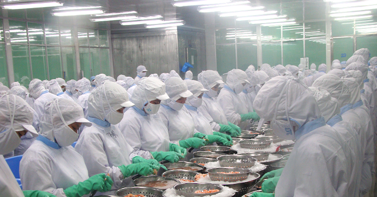 Ngành thủy sản đón “tin vui” lớn về thuế thu nhập doanh nghiệp