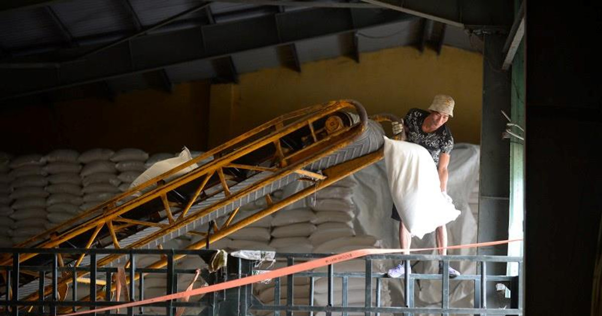 Minh bạch cơ chế xuất khẩu gạo nhằm tăng sức cạnh tranh