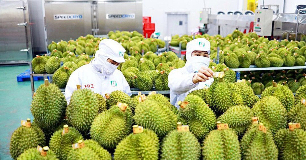 Triển vọng tích cực cho tăng trưởng xuất khẩu