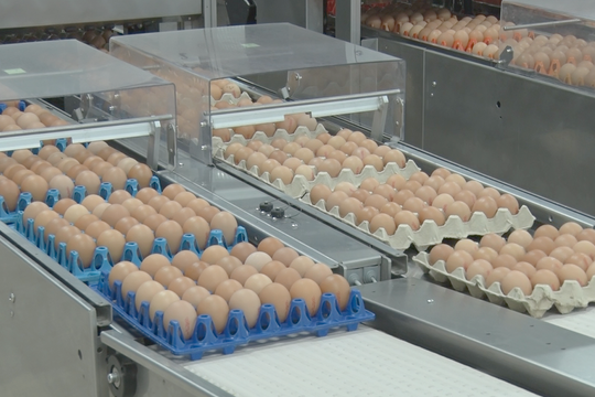 Phát triển doanh nghiệp gắn liền với vệ sinh, an toàn thực phẩm