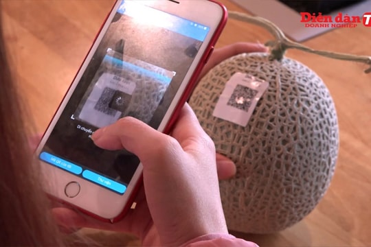 Cuộc chiến chống thực phẩm bẩn: Làm sao đưa thực phẩm sạch đến tay người tiêu dùng?