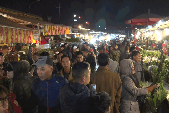 Chợ hoa Quảng An nhộn nhịp ngày giáp Tết