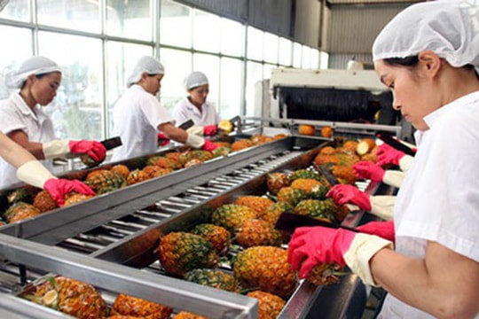 "Cơn sóng dữ" của APC