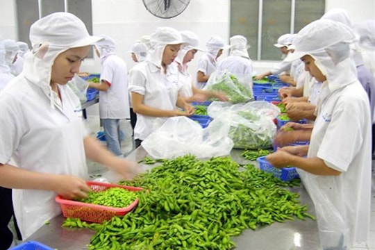 Quý I/2018, GDP ngành nông nghiệp tăng cao nhất trong 13 năm qua