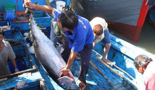 Số phận của “thẻ vàng” thuỷ sản trước giờ G