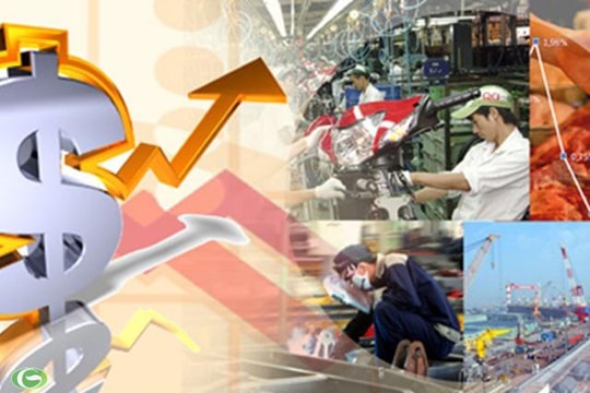 Tập trung kiểm tra việc thực hiện các nhiệm vụ, giải pháp về tăng trưởng