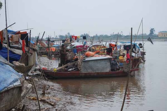 Dân làng chài Thủy Cơ, Thái Bình muốn được lên bờ