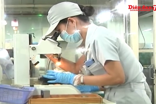 “Chen chân” vào chuỗi cung ứng công nghiệp phụ trợ Nhật Bản: Doanh nghiệp Việt cần gì?