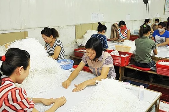 Tăng tính hấp dẫn của chính sách BHXH tự nguyện