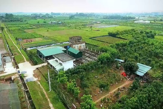 Thúc đẩy doanh nghiệp đầu tư vào lĩnh vực nông nghiệp