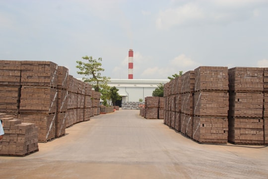 Giải pháp nào cho thực trạng quá tải tro, xỉ nhiệt điện tại Quảng Ninh?