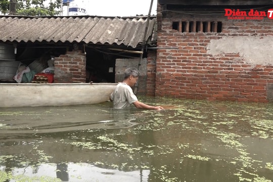 Dân vùng lũ Chương Mỹ thiếu điện và nước sạch sau lũ