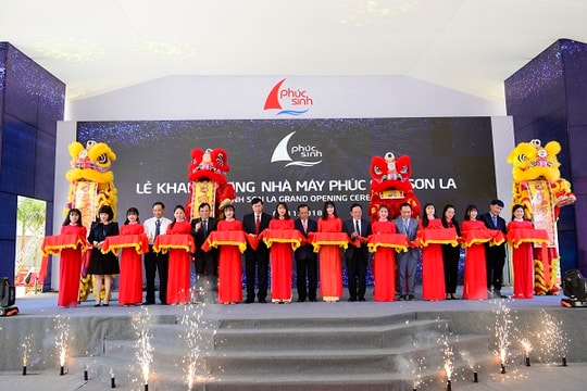 Phúc Sinh Sơn La: Nâng tầm cà phê arabica Việt Nam trên bản đồ quốc tế