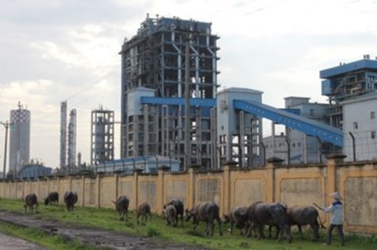 Số phận Đạm Ninh Bình lại “ngàn cân treo sợi tóc”?