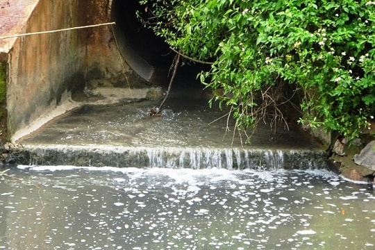 Gia Lai: Xử phạt “ưu ái” doanh nghiệp xả thải trái phép