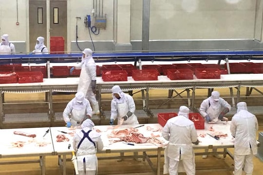 Phát triển doanh nghiệp đầu tàu thúc đẩy liên kết chuỗi ngành chăn nuôi