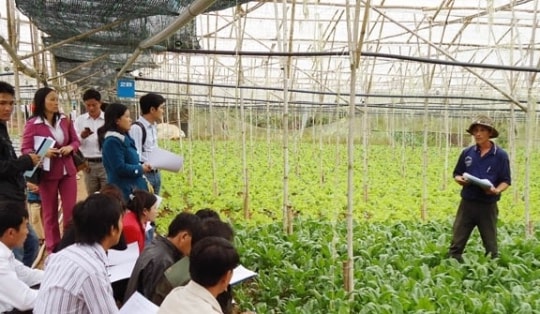 Khởi nghiệp trong nông nghiệp và bài học kinh nghiệm từ Israel