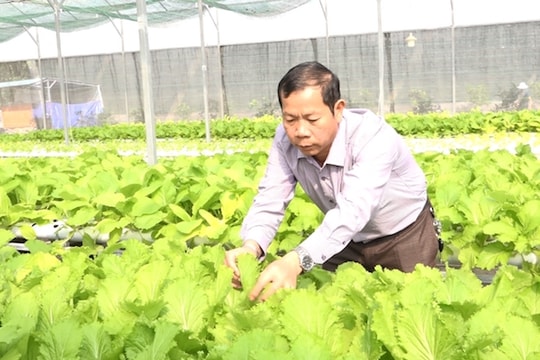 Xuân về bàn chuyện phát triển nông nghiệp công nghệ cao (kỳ II): Khi chính quyền là “bà đỡ”