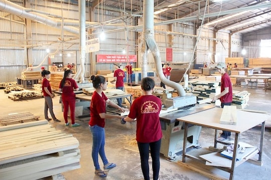 Ngành công nghiệp chế biến gỗ (Kỳ II): Doanh nghiệp “khát” công nghệ