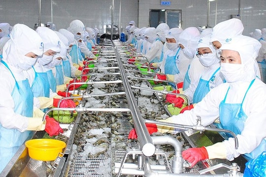 "Mỏ vàng" từ chuỗi giá trị sản xuất thuỷ sản