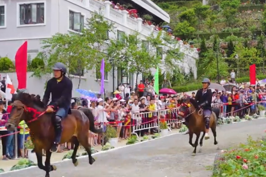 Chiêm ngưỡng những khoảnh khắc đẹp nhất từ giải đua ngựa Fansipan lần thứ nhất