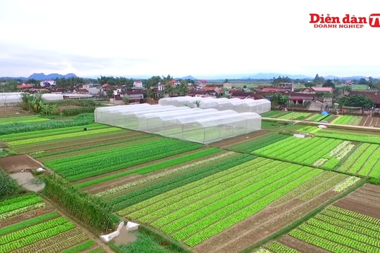 Tiến Nông đặt niềm tin vào thế hệ trẻ