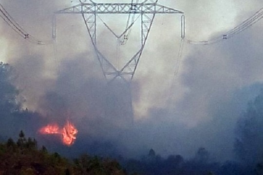 Điện đã được khôi phục sau cháy rừng ở miền Trung