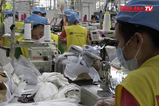 Dệt may liên kết để tận dụng cơ hội từ EVFTA