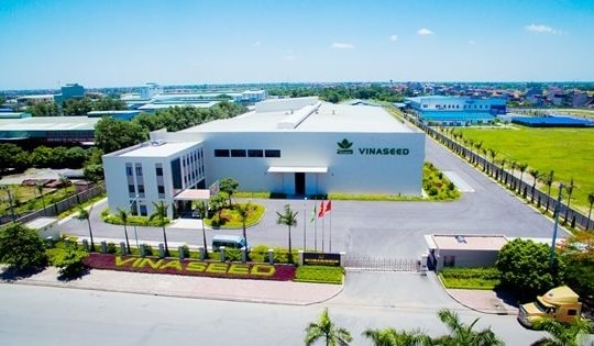 Vì sao doanh thu và lợi nhuận của Vinaseed "rủ nhau" đi lùi?