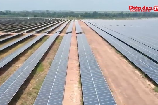 "Ùn" năng lượng tái tạo: Câu chuyện không chỉ riêng Việt Nam